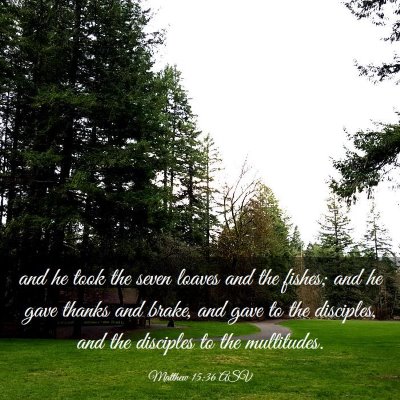 Picture 03 - Matthew 15:36 ASV - and he took the seven loaves and the fishes; and - Bible Verse Picture