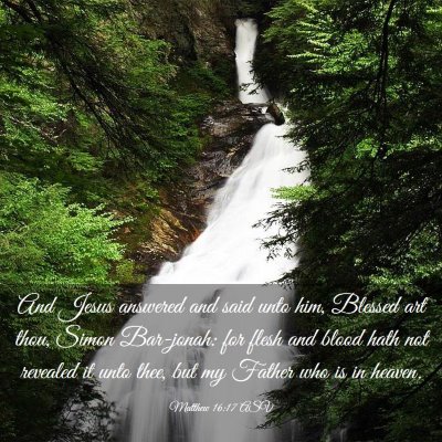 Picture 03 - Matthew 16:17 ASV - And Jesus answered and said unto him, Blessed art - Bible Verse Picture