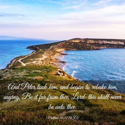 Picture 03 - Matthew 16:22 ASV - And Peter took him, and began to rebuke him, - Bible Verse Picture