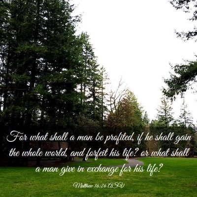 Picture 03 - Matthew 16:26 ASV - For what shall a man be profited, if he shall - Bible Verse Picture