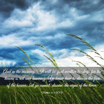Picture 03 - Matthew 16:3 ASV - And in the morning, `It will be' foul weather - Bible Verse Picture