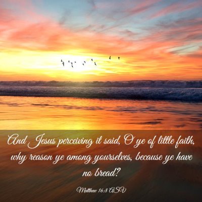Picture 03 - Matthew 16:8 ASV - And Jesus perceiving it said, O ye of little - Bible Verse Picture