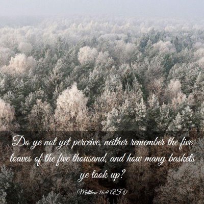 Picture 03 - Matthew 16:9 ASV - Do ye not yet perceive, neither remember the five - Bible Verse Picture