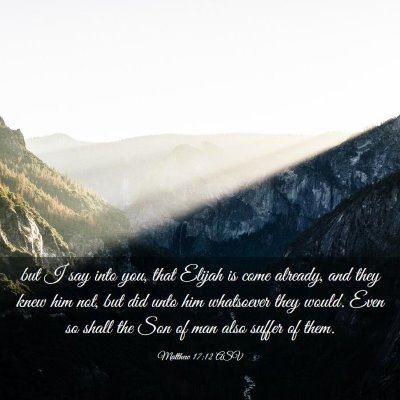 Picture 03 - Matthew 17:12 ASV - but I say into you, that Elijah is come already, - Bible Verse Picture