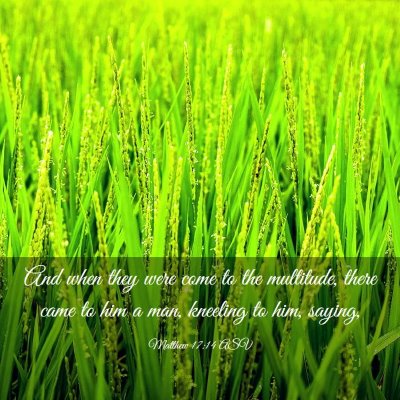 Picture 03 - Matthew 17:14 ASV - And when they were come to the multitude, there - Bible Verse Picture