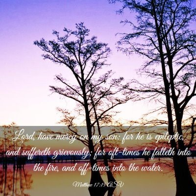 Picture 03 - Matthew 17:15 ASV - Lord, have mercy on my son: for he is epileptic, - Bible Verse Picture