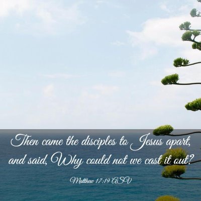 Picture 03 - Matthew 17:19 ASV - Then came the disciples to Jesus apart, and said, - Bible Verse Picture