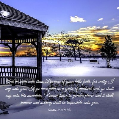 Picture 03 - Matthew 17:20 ASV - And he saith unto them, Because of your little - Bible Verse Picture
