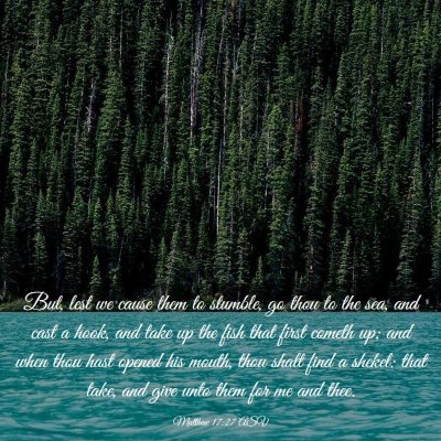 Picture 03 - Matthew 17:27 ASV - But, lest we cause them to stumble, go thou to - Bible Verse Picture