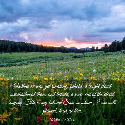 Picture 03 - Matthew 17:5 ASV - While he was yet speaking, behold, a bright cloud - Bible Verse Picture