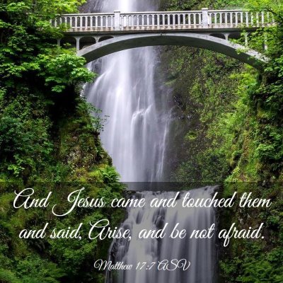 Picture 03 - Matthew 17:7 ASV - And Jesus came and touched them and said, Arise, - Bible Verse Picture