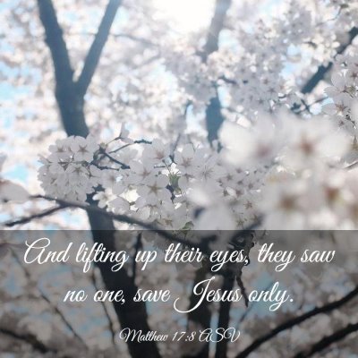 Picture 03 - Matthew 17:8 ASV - And lifting up their eyes, they saw no one, save - Bible Verse Picture