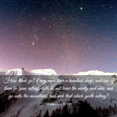 Picture 03 - Matthew 18:12 ASV - How think ye? if any man have a hundred sheep, - Bible Verse Picture