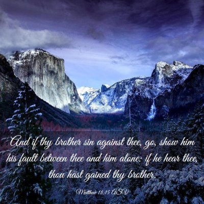 Picture 03 - Matthew 18:15 ASV - And if thy brother sin against thee, go, show him - Bible Verse Picture