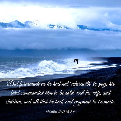Picture 03 - Matthew 18:25 ASV - But forasmuch as he had not `wherewith' to pay, - Bible Verse Picture