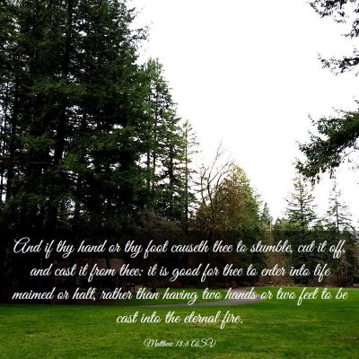 Picture 03 - Matthew 18:8 ASV - And if thy hand or thy foot causeth thee to - Bible Verse Picture