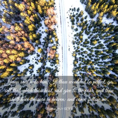 Picture 03 - Matthew 19:21 ASV - Jesus said unto him, If thou wouldest be perfect, - Bible Verse Picture
