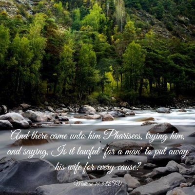 Picture 03 - Matthew 19:3 ASV - And there came unto him Pharisees, trying him, - Bible Verse Picture