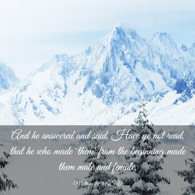 Picture 03 - Matthew 19:4 ASV - And he answered and said, Have ye not read, that - Bible Verse Picture
