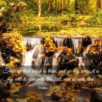 Picture 03 - Matthew 20:14 ASV - Take up that which is thine, and go thy way; it - Bible Verse Picture