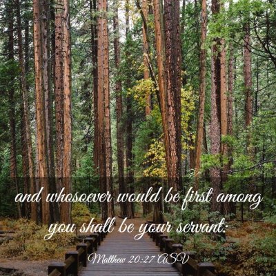 Picture 03 - Matthew 20:27 ASV - and whosoever would be first among you shall be - Bible Verse Picture