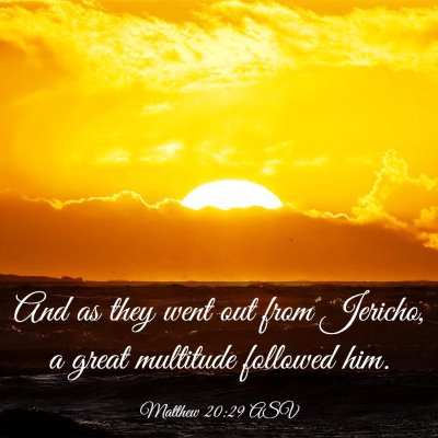 Picture 03 - Matthew 20:29 ASV - And as they went out from Jericho, a great - Bible Verse Picture