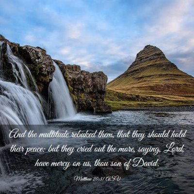 Picture 03 - Matthew 20:31 ASV - And the multitude rebuked them, that they should - Bible Verse Picture