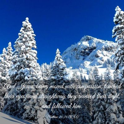 Picture 03 - Matthew 20:34 ASV - And Jesus, being moved with compassion, touched - Bible Verse Picture