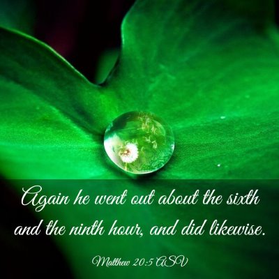 Picture 03 - Matthew 20:5 ASV - Again he went out about the sixth and the ninth - Bible Verse Picture