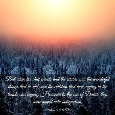 Picture 03 - Matthew 21:15 ASV - But when the chief priests and the scribes saw - Bible Verse Picture