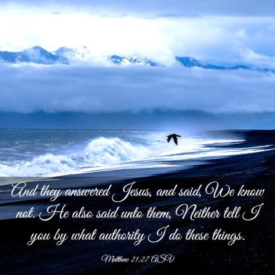 Picture 03 - Matthew 21:27 ASV - And they answered Jesus, and said, We know not. - Bible Verse Picture