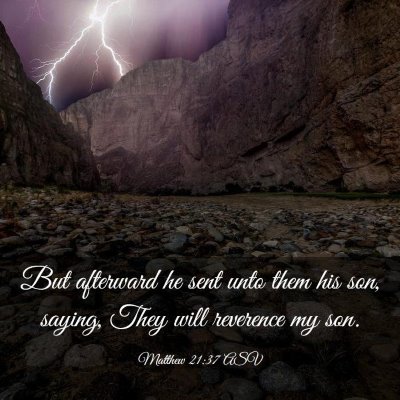 Picture 03 - Matthew 21:37 ASV - But afterward he sent unto them his son, saying, - Bible Verse Picture