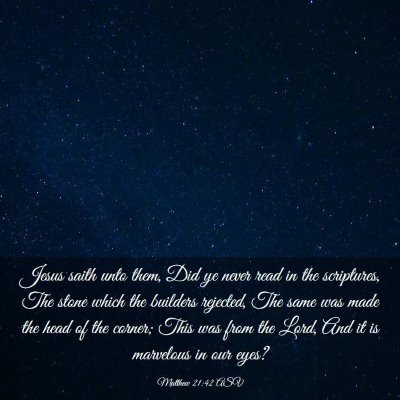 Picture 03 - Matthew 21:42 ASV - Jesus saith unto them, Did ye never read in the - Bible Verse Picture
