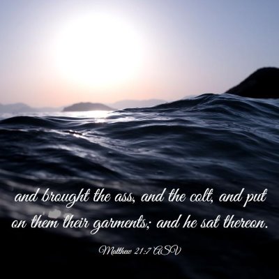 Picture 03 - Matthew 21:7 ASV - and brought the ass, and the colt, and put on - Bible Verse Picture