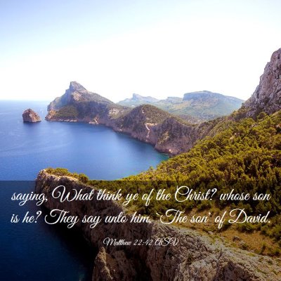 Picture 03 - Matthew 22:42 ASV - saying, What think ye of the Christ? whose son is - Bible Verse Picture