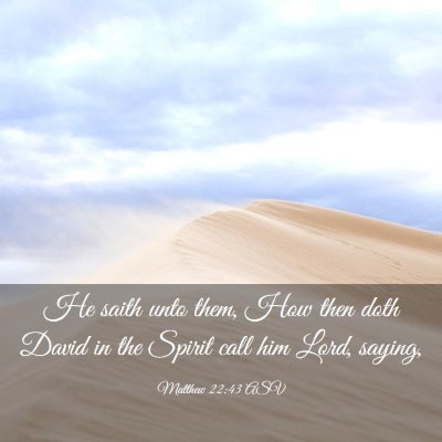 Picture 03 - Matthew 22:43 ASV - He saith unto them, How then doth David in the - Bible Verse Picture