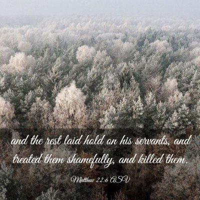 Picture 03 - Matthew 22:6 ASV - and the rest laid hold on his servants, and - Bible Verse Picture