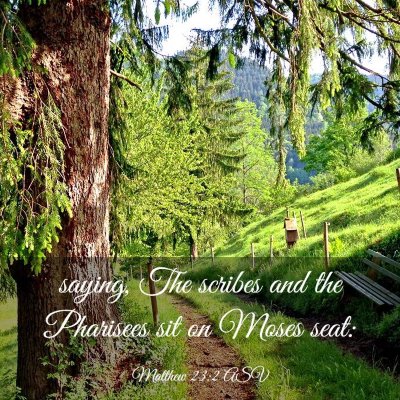 Picture 03 - Matthew 23:2 ASV - saying, The scribes and the Pharisees sit on - Bible Verse Picture