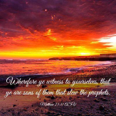 Picture 03 - Matthew 23:31 ASV - Wherefore ye witness to yourselves, that ye are - Bible Verse Picture