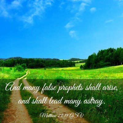 Picture 03 - Matthew 24:11 ASV - And many false prophets shall arise, and shall - Bible Verse Picture