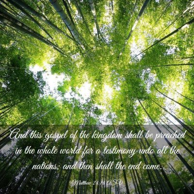 Picture 03 - Matthew 24:14 ASV - And this gospel of the kingdom shall be preached - Bible Verse Picture