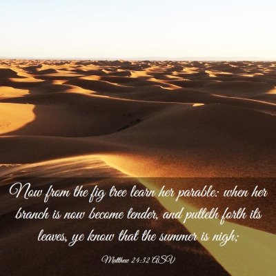 Picture 03 - Matthew 24:32 ASV - Now from the fig tree learn her parable: when her - Bible Verse Picture