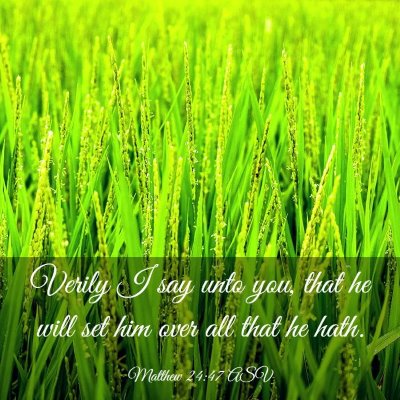 Picture 03 - Matthew 24:47 ASV - Verily I say unto you, that he will set him over - Bible Verse Picture