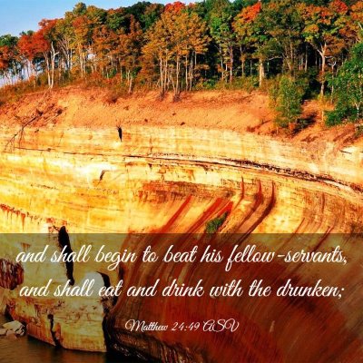 Picture 03 - Matthew 24:49 ASV - and shall begin to beat his fellow-servants, and - Bible Verse Picture