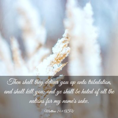 Picture 03 - Matthew 24:9 ASV - Then shall they deliver you up unto tribulation, - Bible Verse Picture