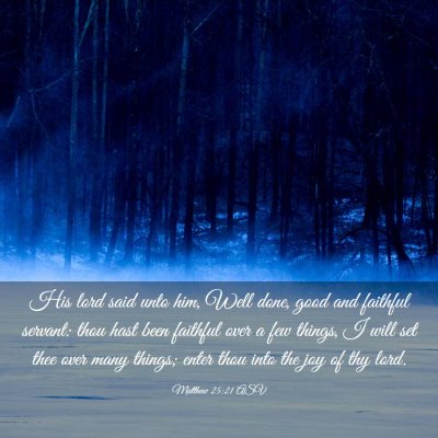 Picture 03 - Matthew 25:21 ASV - His lord said unto him, Well done, good and - Bible Verse Picture