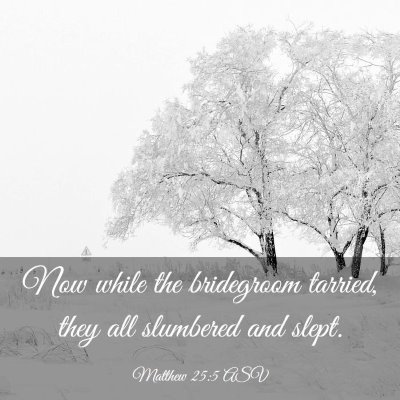 Picture 03 - Matthew 25:5 ASV - Now while the bridegroom tarried, they all - Bible Verse Picture