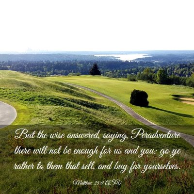 Picture 03 - Matthew 25:9 ASV - But the wise answered, saying, Peradventure there - Bible Verse Picture
