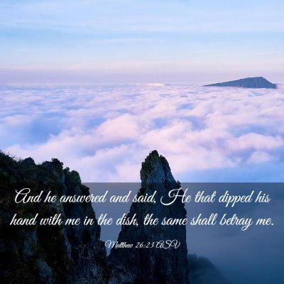 Picture 03 - Matthew 26:23 ASV - And he answered and said, He that dipped his hand - Bible Verse Picture