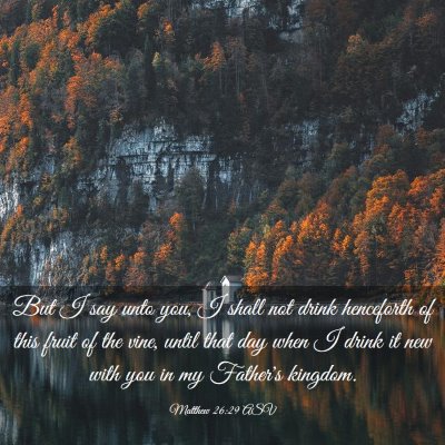 Picture 03 - Matthew 26:29 ASV - But I say unto you, I shall not drink henceforth - Bible Verse Picture